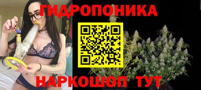 стафф Малгобек