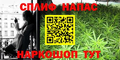 крисы Малоярославец