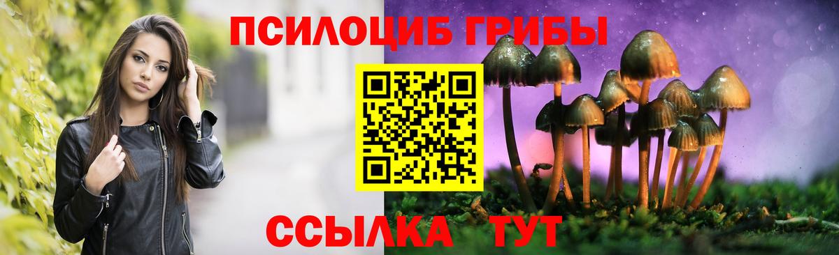 Галлюциногенные грибы GOLDEN TEACHER  Галлюциногенные грибы Psilocybine cubensis  Южноуральск  Вход с VPN 